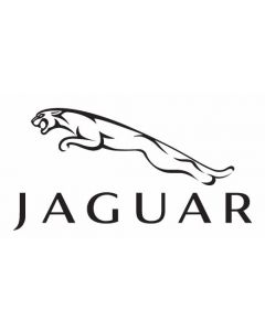 Jaguar 9W83 14D654 AD (28.4036-9101.3) Air Bag ECU Reset