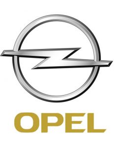 Opel 13 246 043 Air Bag ECU Reset