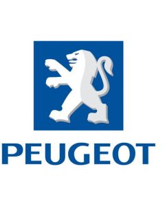 Peugeot 96 368 940 80 AR (550 54 15 00) Air Bag ECU Reset